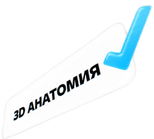Поможем с оформлением